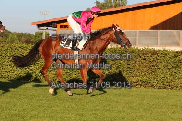 ET0Q0515 prot